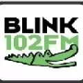 RADIO BLINK 102 - FM 102